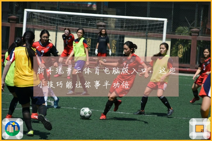 新手玩开云体育电脑版入口,这些小技巧能让你事半功倍